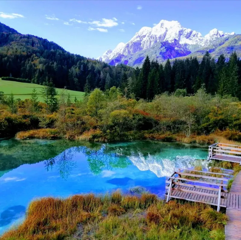 Gostilna Zelenci 2